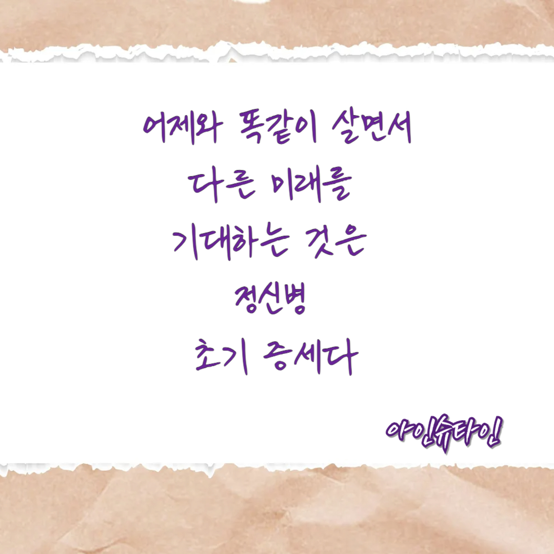 아인슈타인 말