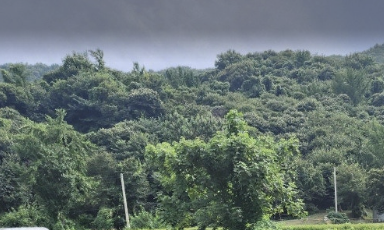 Alt 속성 문제 해결 설명 이미지