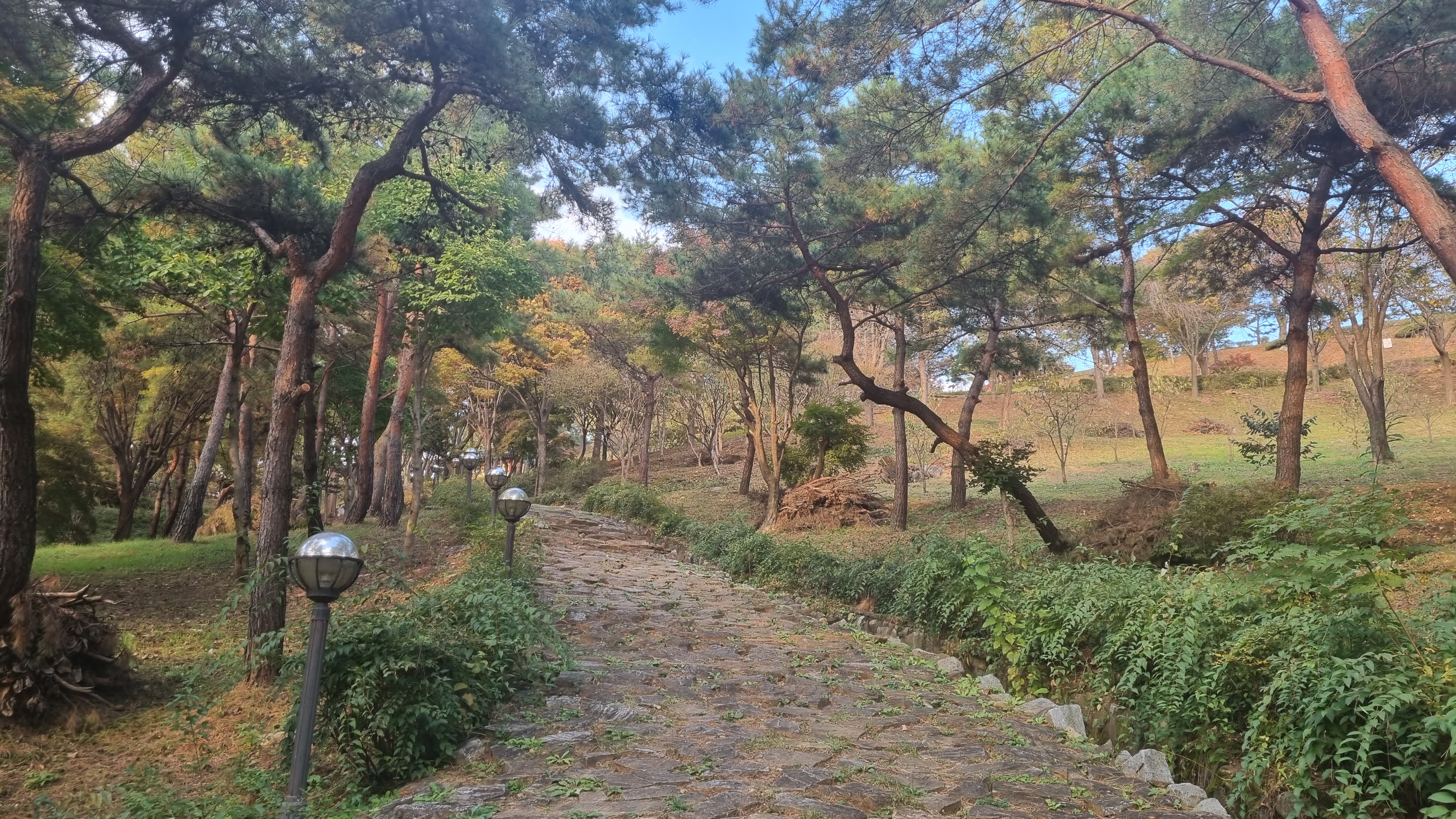 청풍문화재단지_5