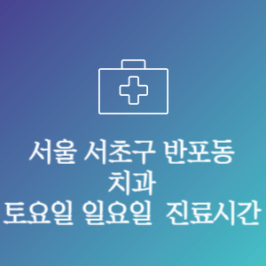 서울 서초구 반포동 치과 주말 토요일 일요일 문여는 병원