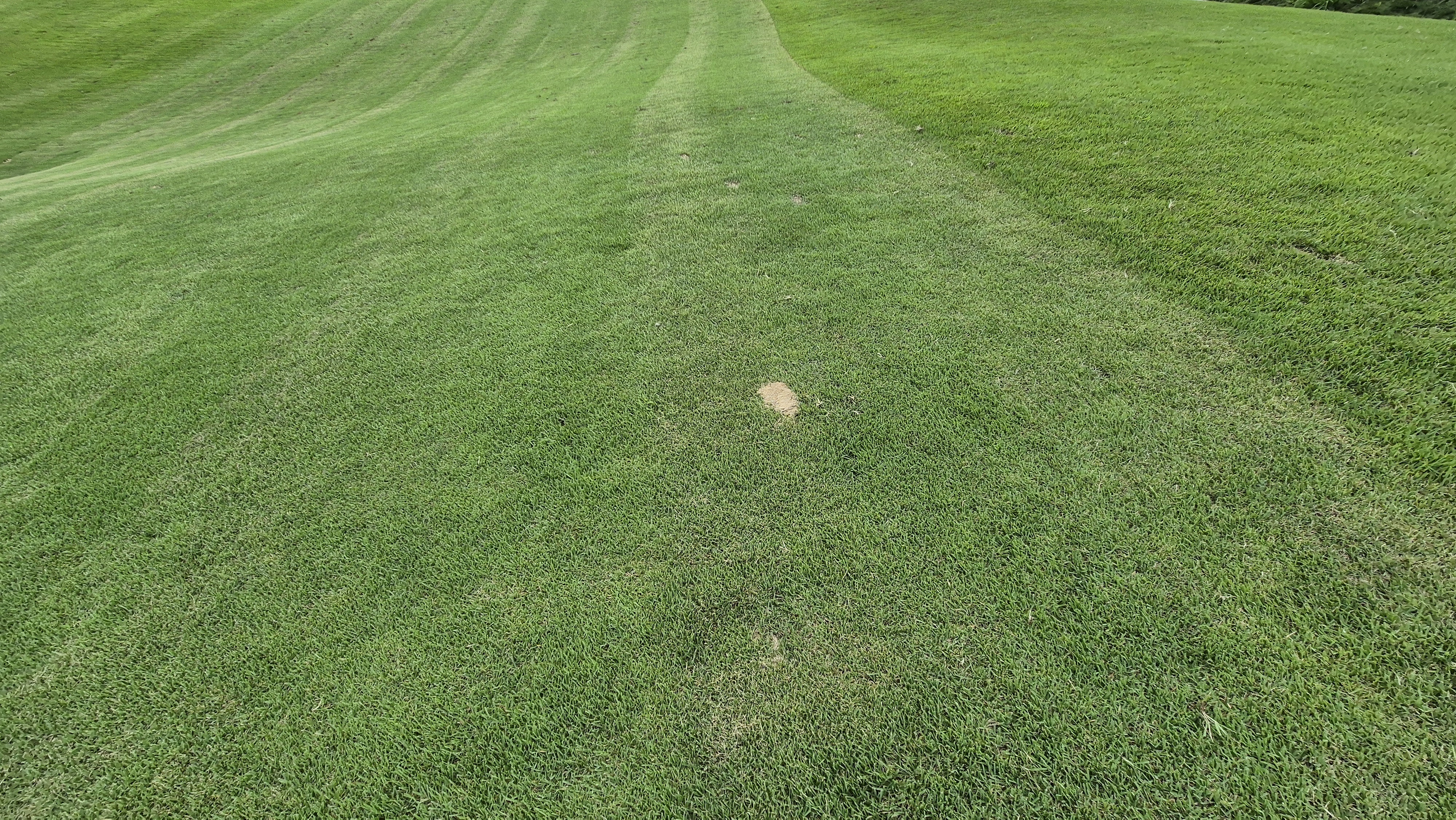 참밸리cc 라운드 후기