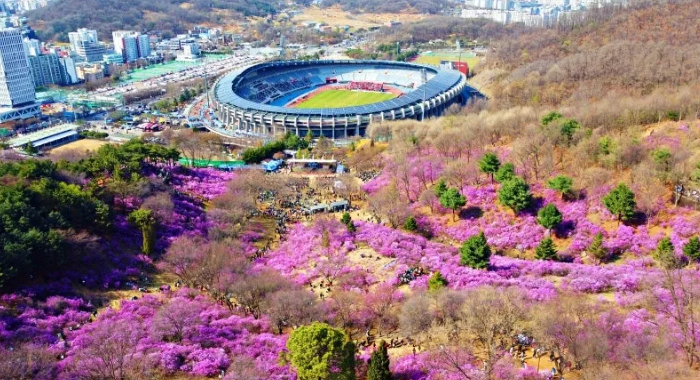 부천 원미산 진달래축제 가는길 대중교통으로 가는 방법