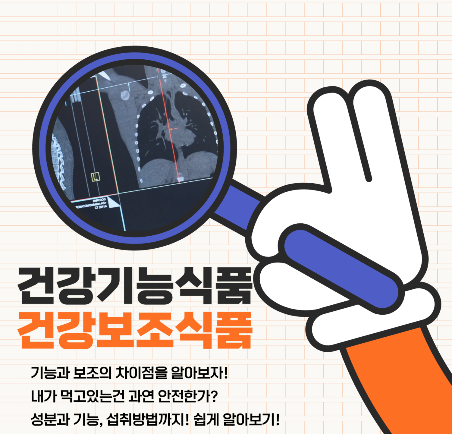 건강기능식품과 건강보조식품의 차이 및 주의사항