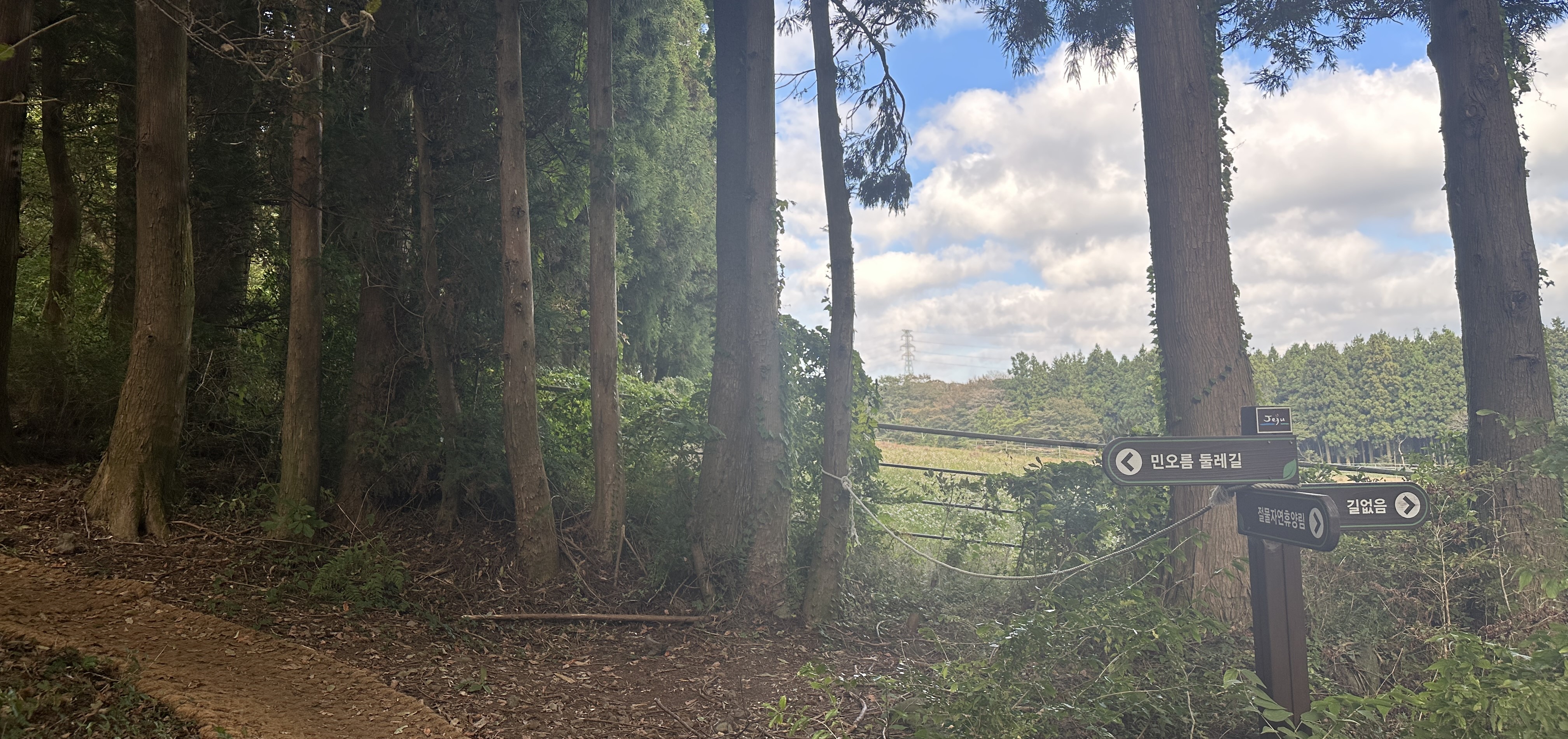 봉개동 민오름 산책로