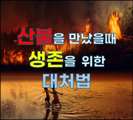 산불을 만났을 때, 생존을 위한 대처법
