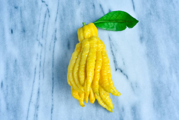 열대 과일 불수감의 약용 효과와 효능, 영양 성분, 화학적 구성