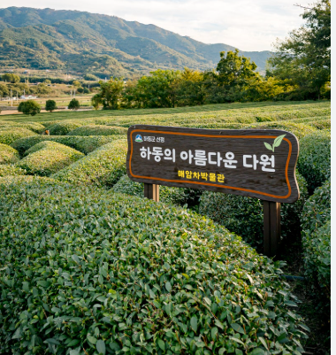 매암제다원