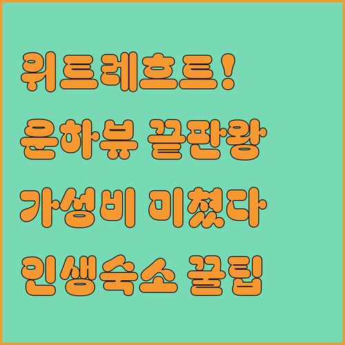 운하 전망부터 가성비까지 완벽한 위트..
