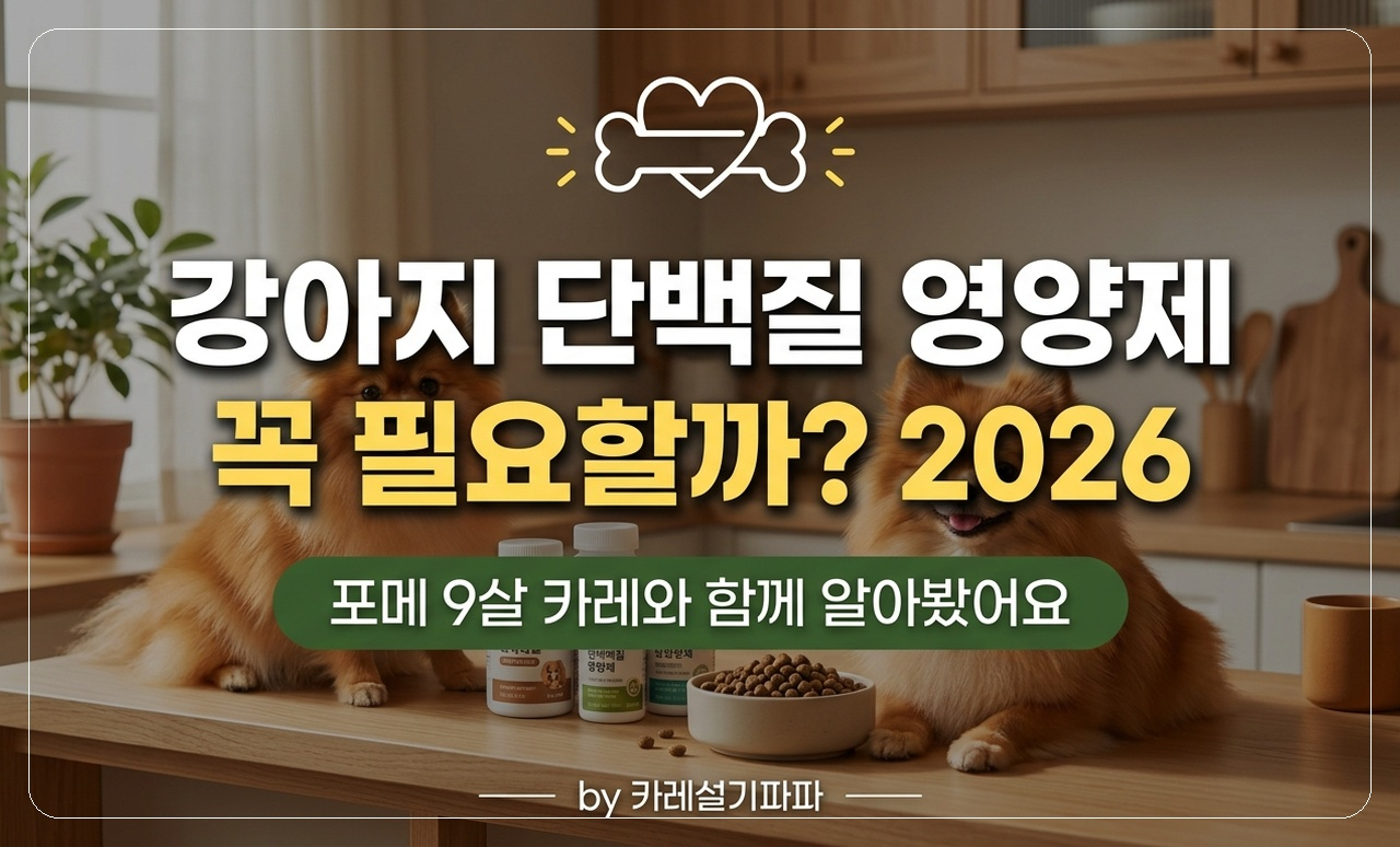 강아지 단백질 영양제 썸네일