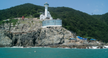 부산 태종대 수국축제