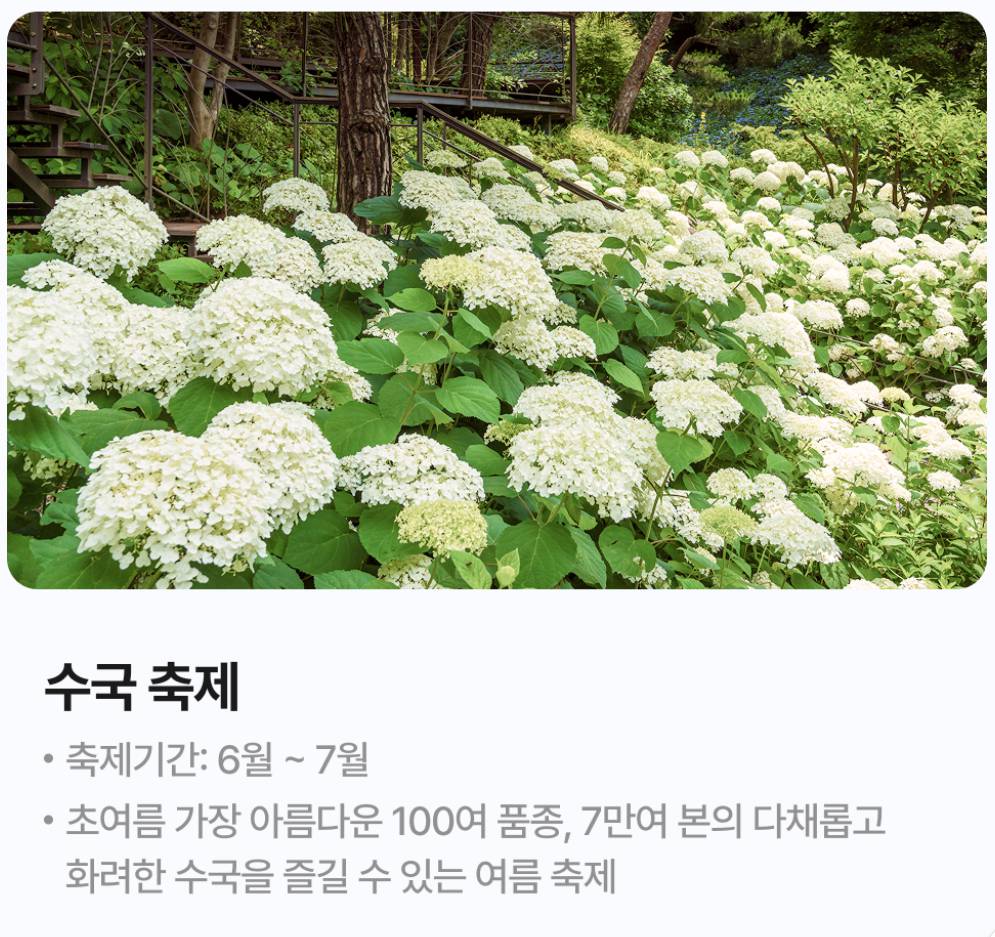 화담숲 수국 축제 예약 방법, 입장료, 모노레일 이용 팁