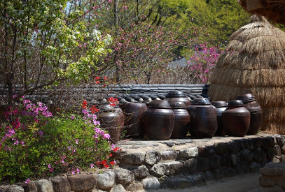 소도시 리모트 라이프 체험기 – 어디가 가장 만족스러웠나?