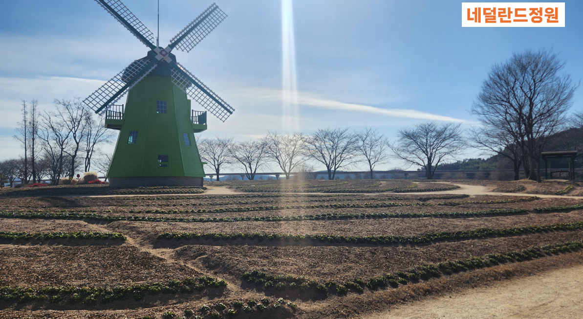 순천만 국가정원 사진 3