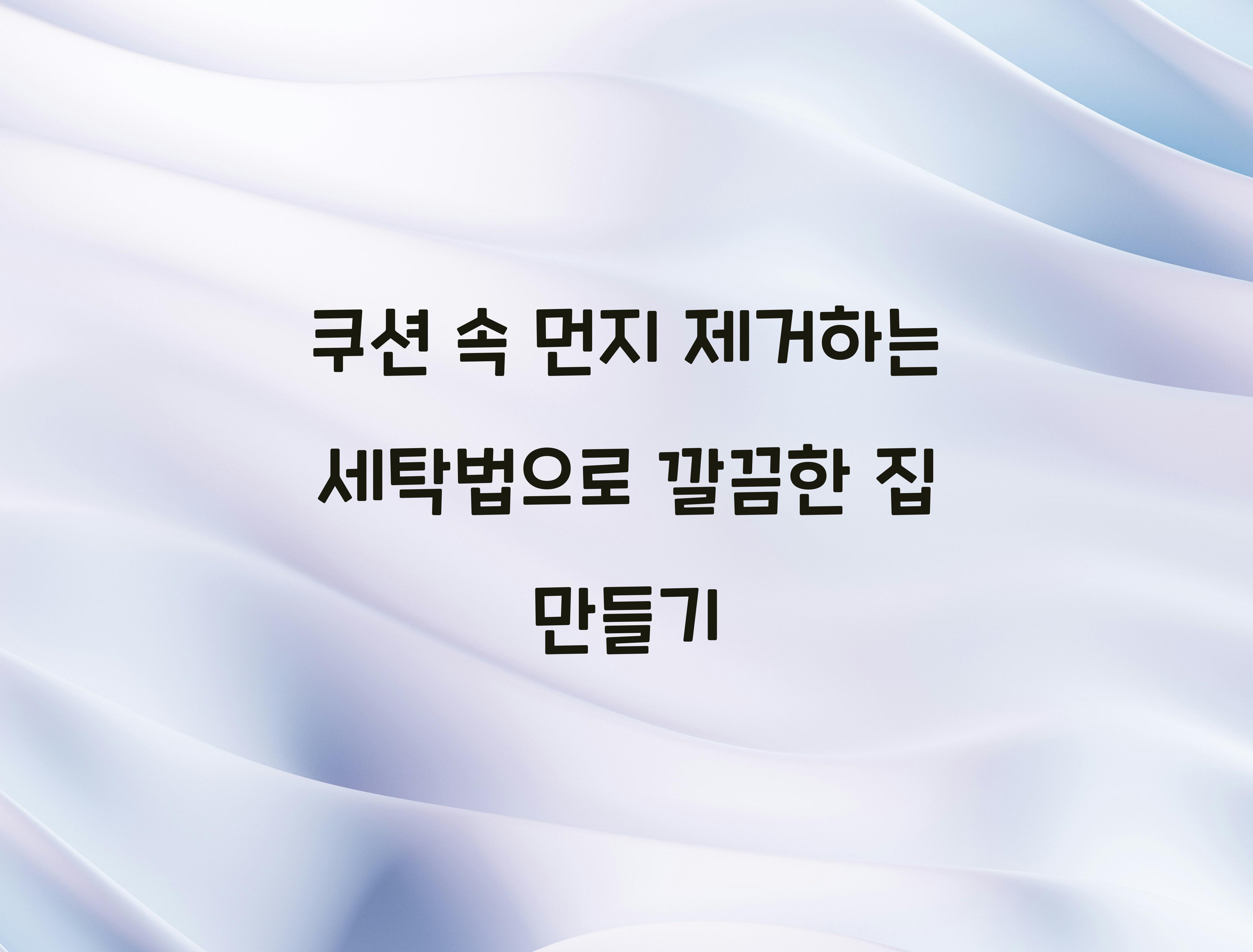 쿠션 속 먼지 제거하는 세탁법
