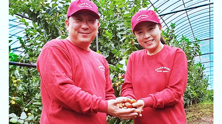 이만기 동네한바퀴 대추빵 대추파이 대추롤케이크 대추단팥빵 베이커리 카페 전국택배 온라인 주문 충북 보은 맛집 소개