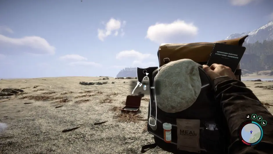 선즈 오브 더 포레스트 리뷰