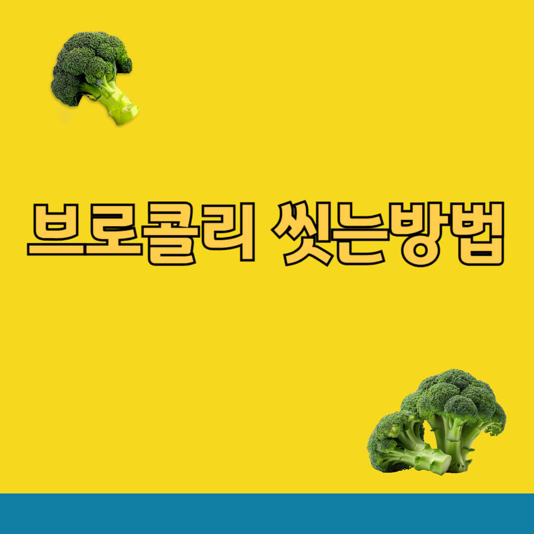 브로콜리 씻는방법