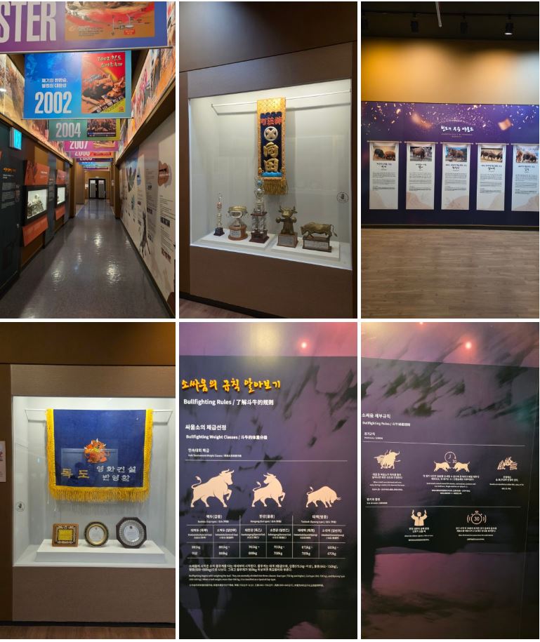 청도소싸움미디어체험관