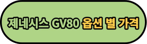 제네시스 gv80 가격