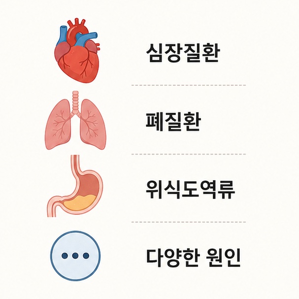 심장질환과 폐질환, 위식도역류 등 가슴 답답함을 일으킬 수 있는 여러 원인을 설명한 이미지
