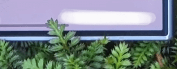 갤럭시 S24 디자인 스펙 카메라 색상 출시일3