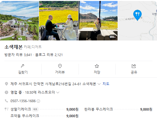 오늘N 제주 산방산 카페 한라봉케이크 조약돌케이크 딸기케이크 크루아상 한라봉에이드 대한민국 보물정원 제주 서귀포시 소색채본