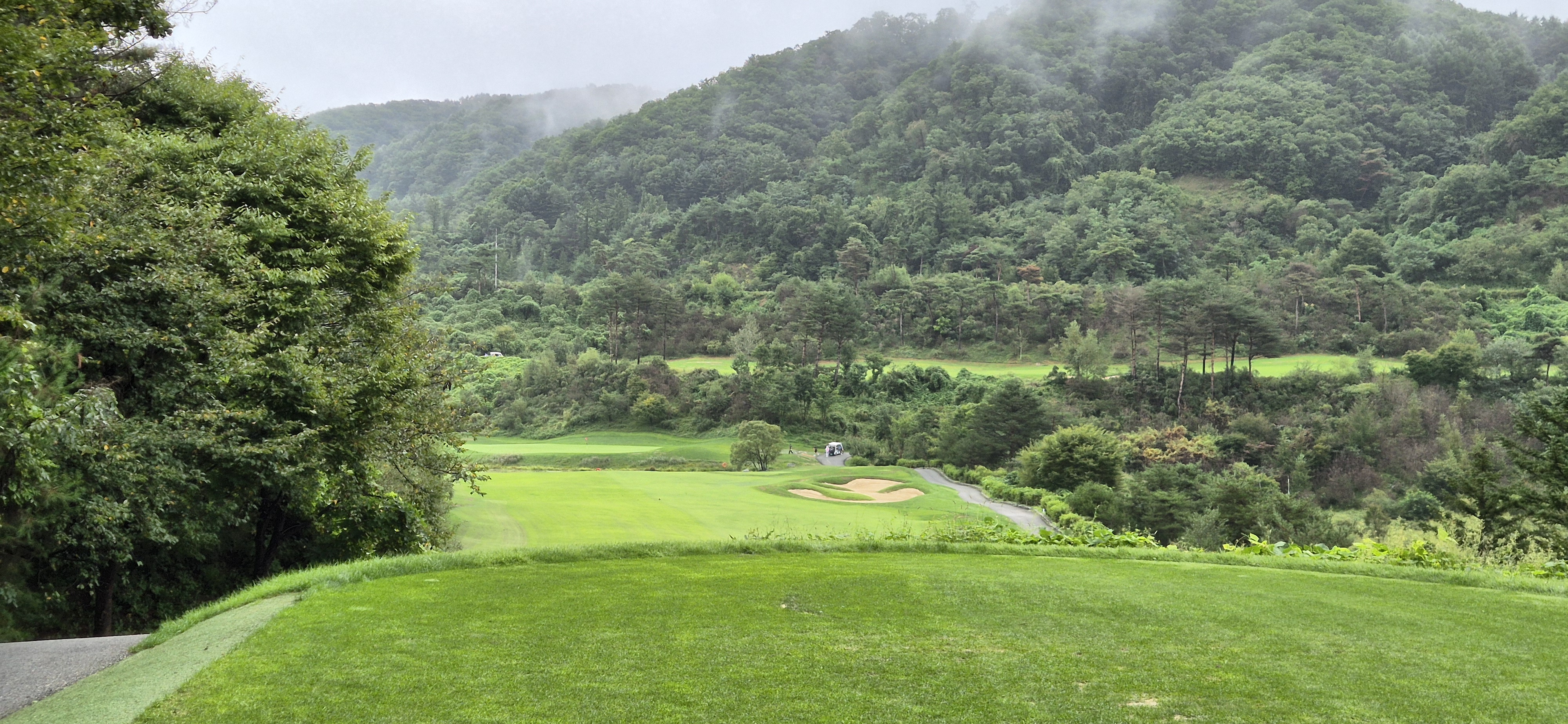 더플레이어스cc