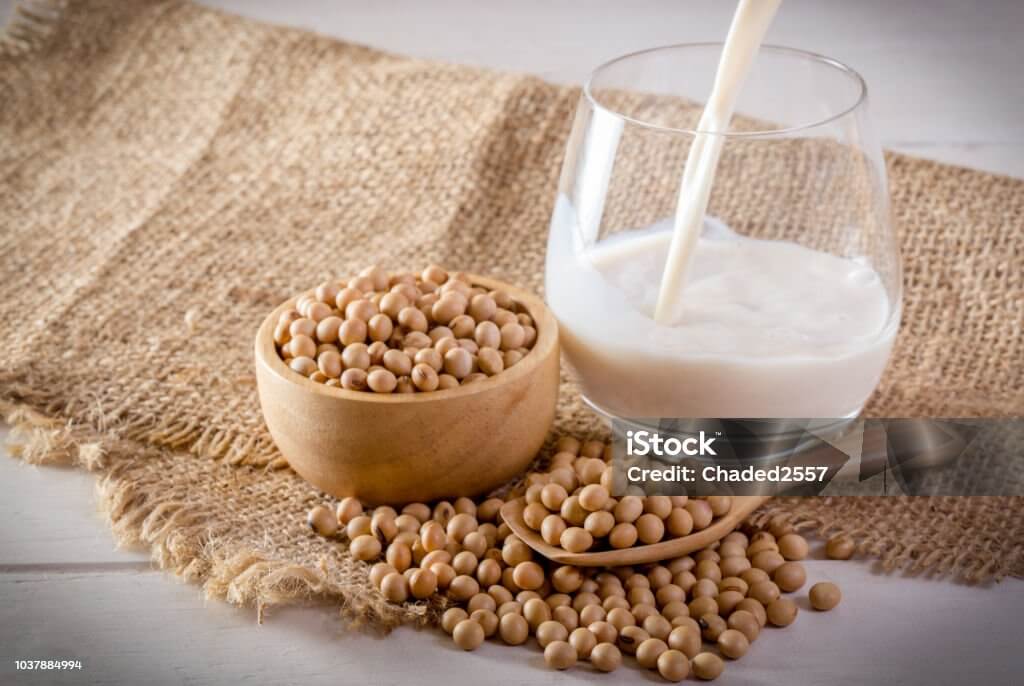 운동후 단백질 섭취