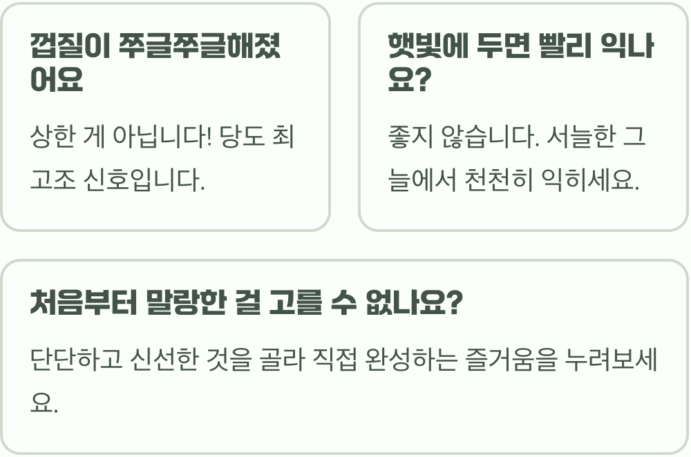 가을자두의 왕, 추희자두가 맛있는 진짜 이유 (후숙의 비밀)