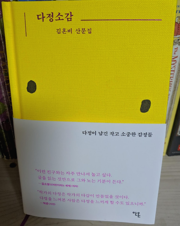 다정소감 / 김혼비 산문집