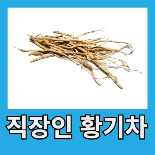 &quot;직장인 피로회복 황기차&quot;