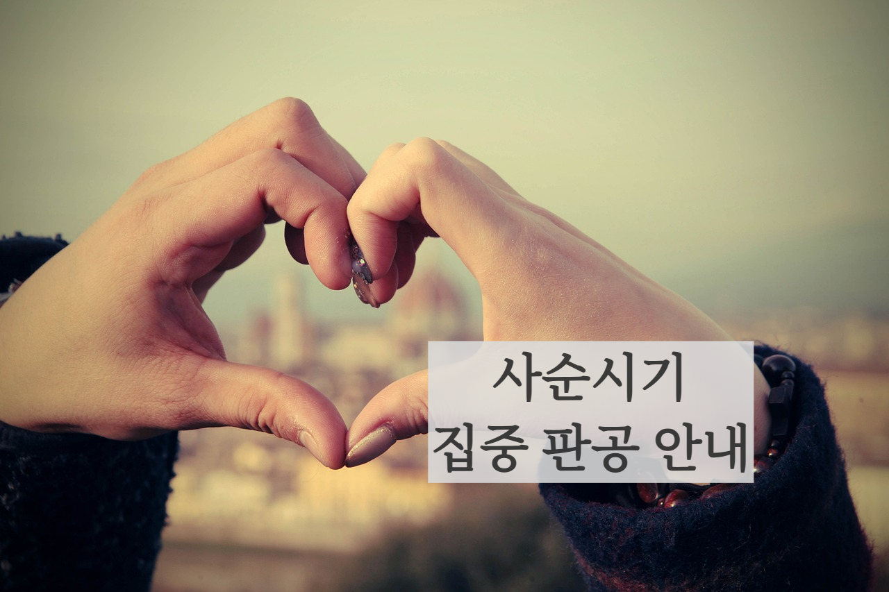 명동성당 상설고해서 사순시기 집중판공 고해성사 안내