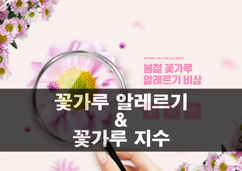 알레르기 및 지수
