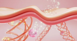 콜라겐/출처:어도비스톡