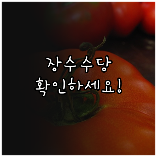 제주 장수수당 2025: 서귀포시 어..