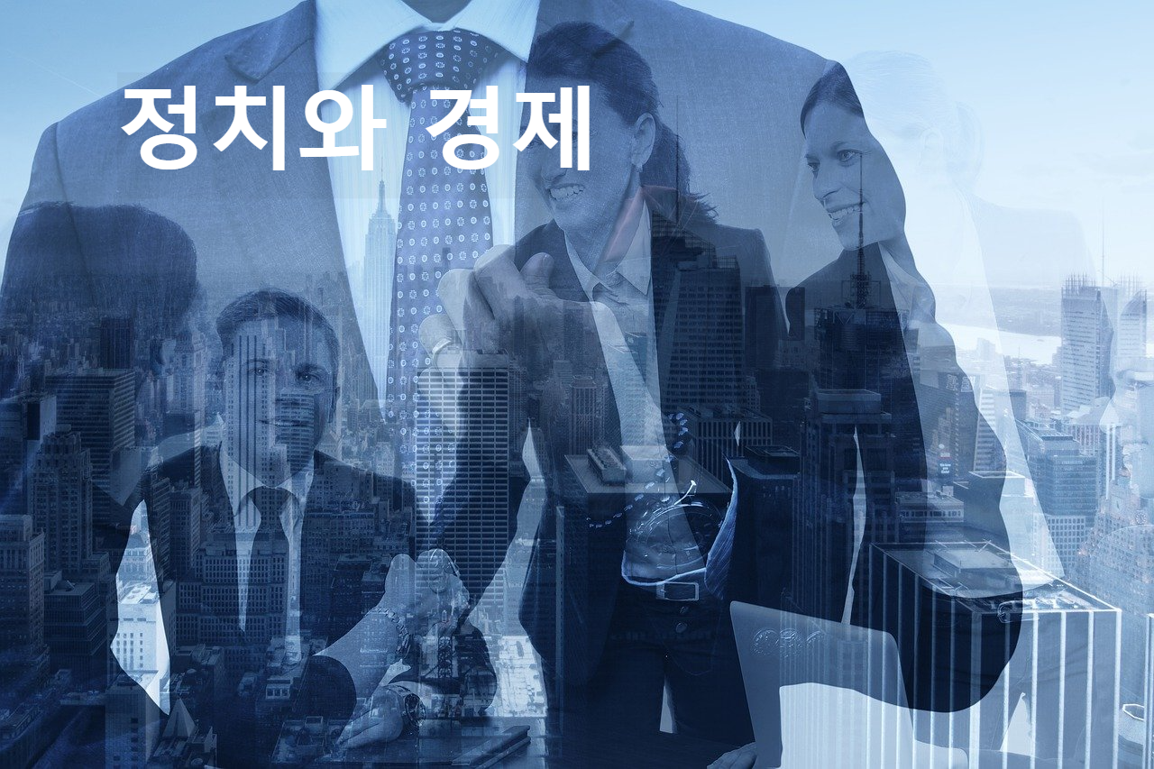 정치와 경제