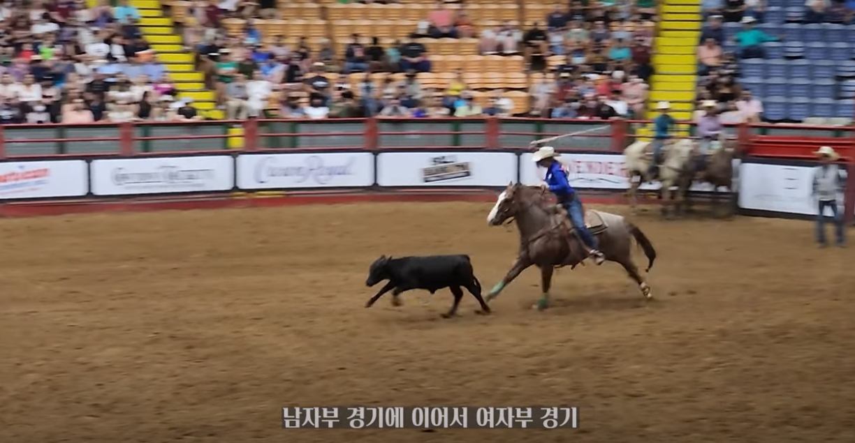 포트워스-스톡야드-로데오-쇼