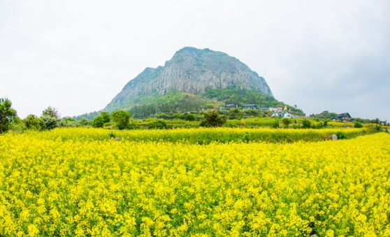 산방산