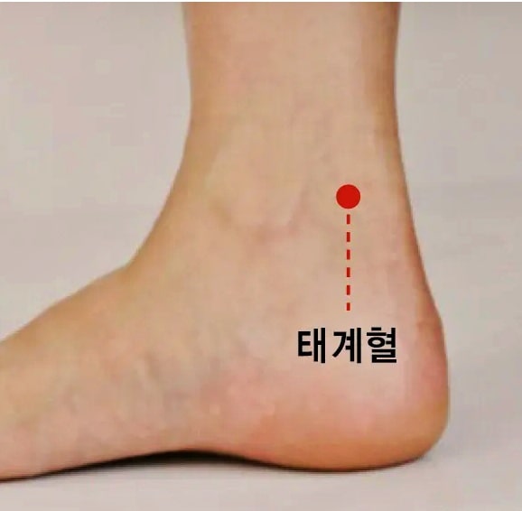 태계혈