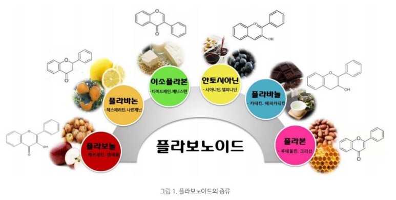 플라보노이드의 종류
