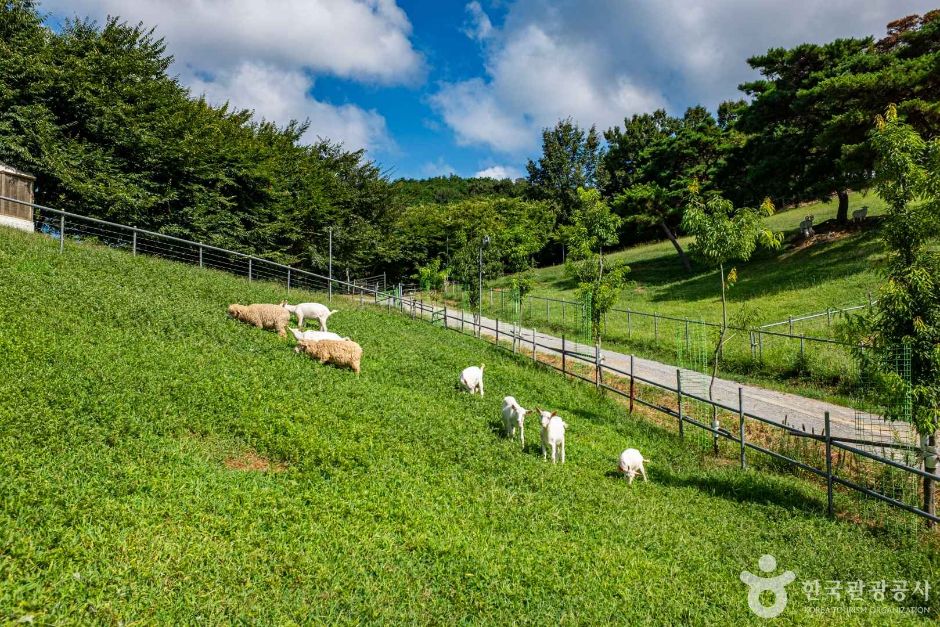 칠곡 가볼만한곳 베스트10