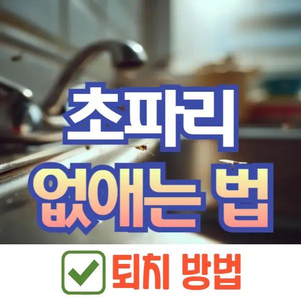 초파리 없애는 방법