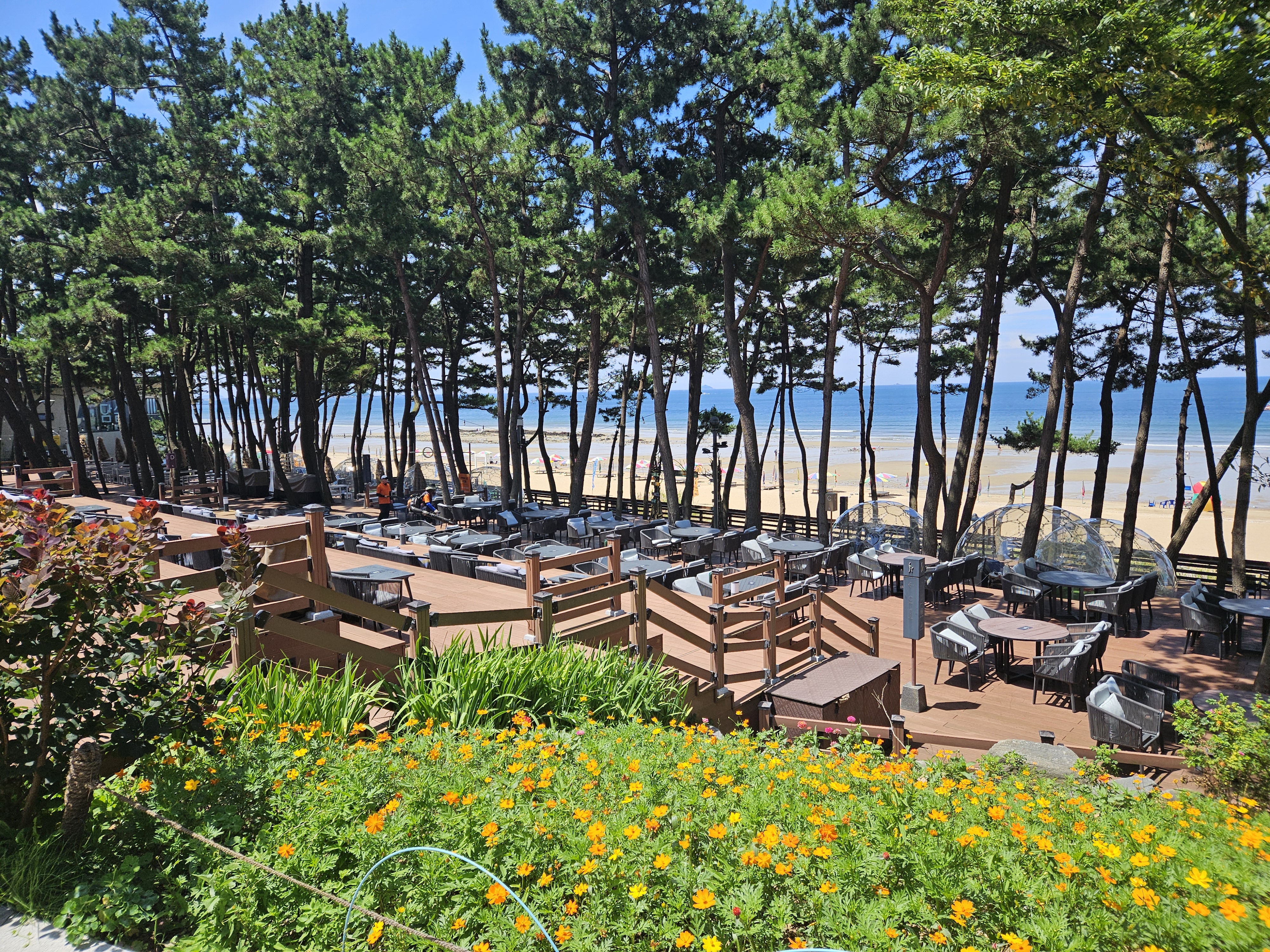 아일랜드 리솜 - 1층 실외 - 야외 레스토랑