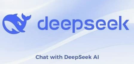 딥시크 사건 개요