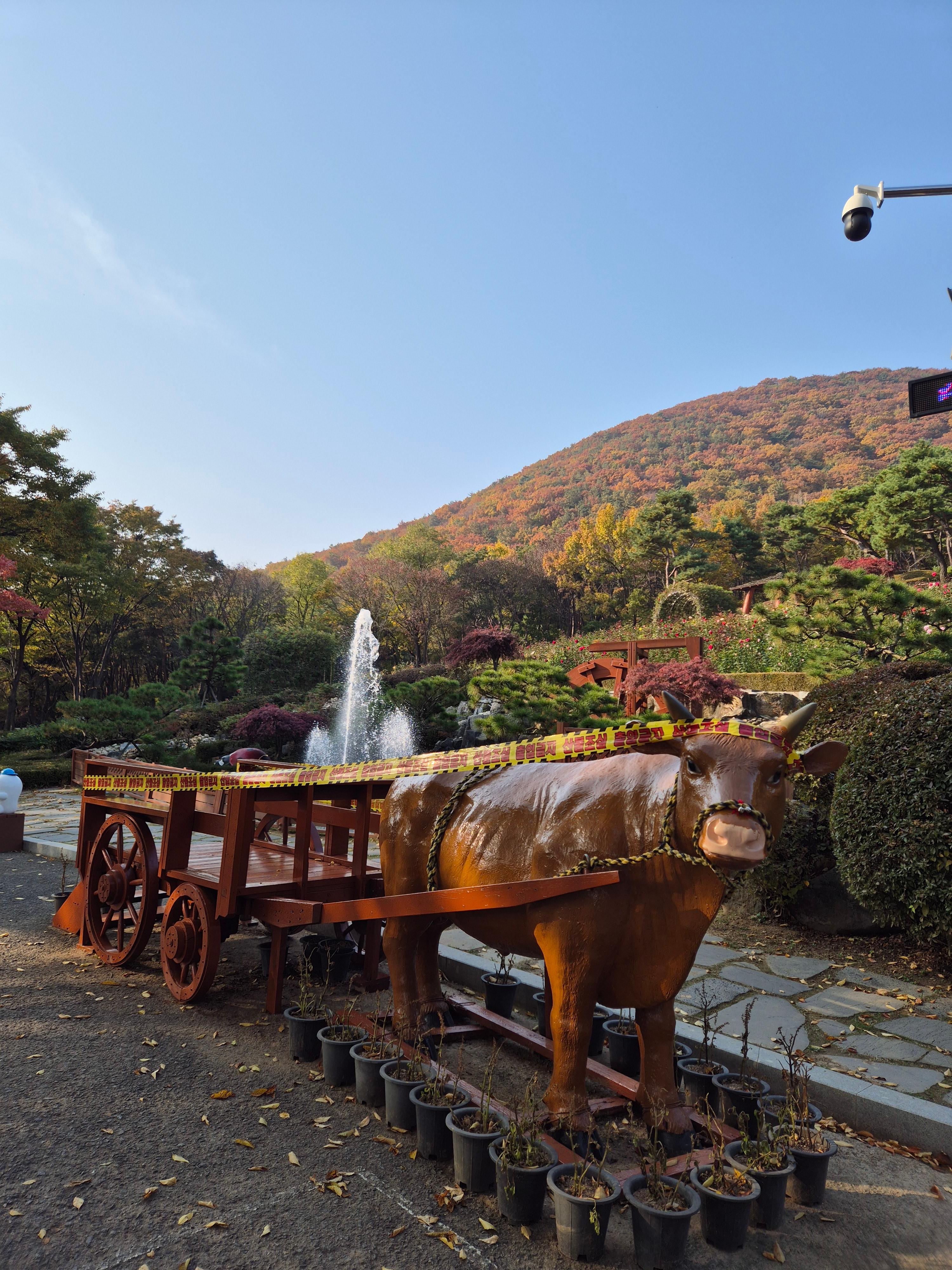 계양산 인천둘레길 내려오는 길