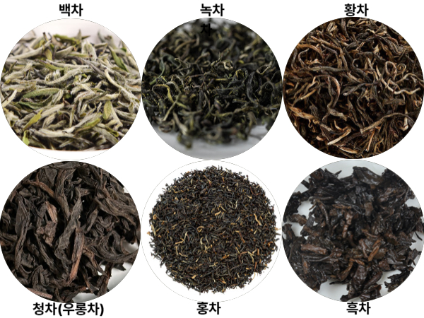 위 아래 3개씩 총 6개 원 안에 백차, 녹차, 황차(위쪽 왼쪽 부터), 청차, 홍차, 흑차(아래 왼쪽부터) 사진이 있다.