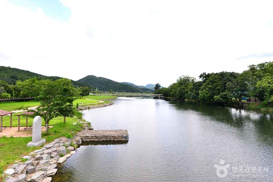 화순 연둔리 숲정이