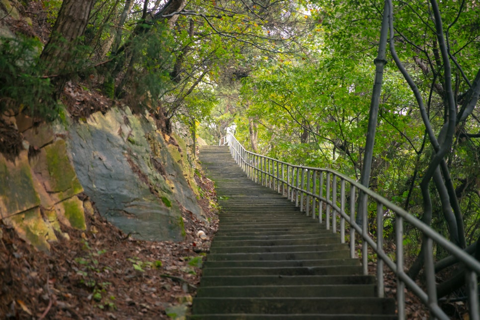 전주 동고사 산책길
