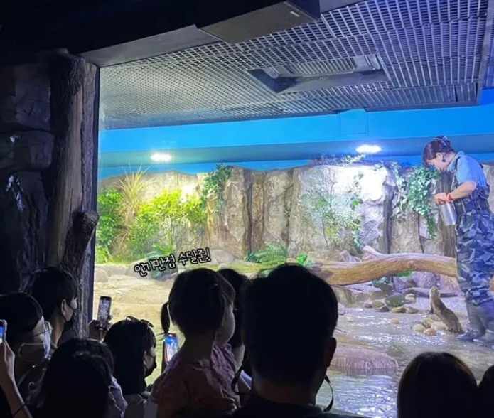 부산아쿠아리움-수달존
