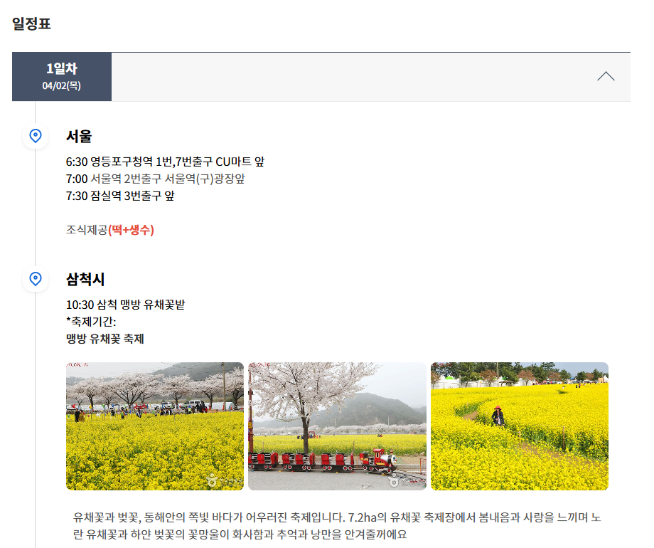 동백여행사 버스 투어